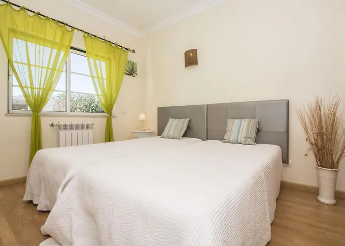 Quinta Yuccas * ボリケイメ