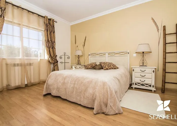 Quinta Yuccas * ボリケイメ